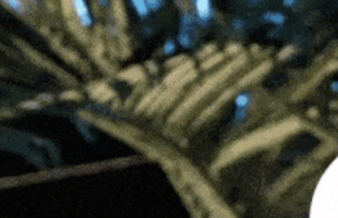 Lâu rồi mới có mỹ nhân giả trai được khen hết lời, đáng nể nhất là mặt mộc đỉnh cao avatar1764560737827 17645607383532117139860png