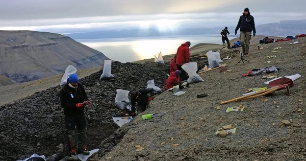 Xuất hiện đàn thủy quái 249 triệu tuổi đảo lộn lịch sử tiến hóa avatar1764562660174 17645626611891294839609jpg