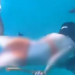 Kinh hoàng cảnh cô gái bị cá mập cắn nhưng vẫn từ chối lên bờ vì muốn chụp thêm ảnh avatar1764654854309 17646548547832042195019 44 0 354 496 crop 17646548686621744514476png