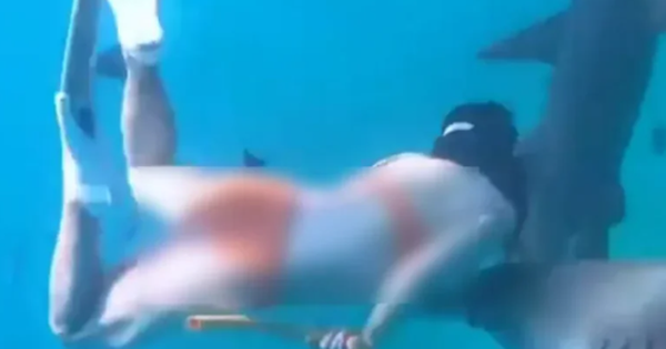 Kinh hoàng cảnh cô gái bị cá mập cắn nhưng vẫn từ chối lên bờ vì muốn chụp thêm ảnh avatar1764654854309 17646548547832042195019 44 0 354 496 crop 17646548686621744514476png