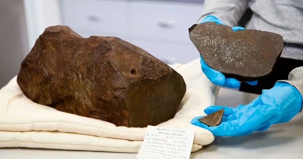 Đào đất tìm vàng, người đàn ông nhặt được thứ còn quý hơn vàng ngàn lần avatar1764755172896 1764755173350847368516jpg