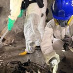 Đội cứu hộ tìm kiếm thi thể bằng tay không tại tòa chung cư Hong Kong (Trung Quốc): “Chúng tôi muốn khóc mà phải kìm nén” avatar1764822219701 1764822220168148218298 250 0 1500 2000 crop 17648222454901084581927jpg