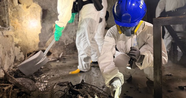 Đội cứu hộ tìm kiếm thi thể bằng tay không tại tòa chung cư Hong Kong (Trung Quốc): “Chúng tôi muốn khóc mà phải kìm nén” avatar1764822219701 1764822220168148218298 250 0 1500 2000 crop 17648222454901084581927jpg