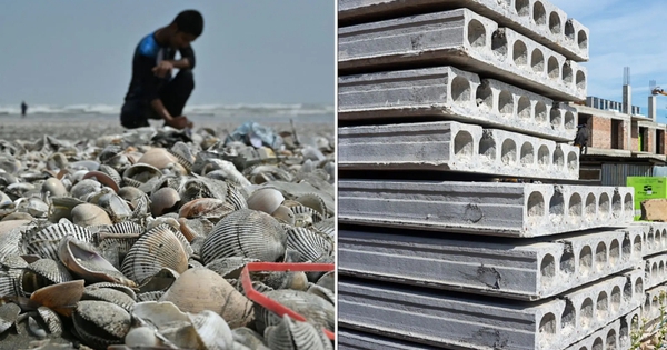 Phát minh có thể làm rung chuyển ngành xây dựng: Dùng thứ bị bỏ đi ở khắp các bờ biển để trộn thêm, giúp bê tông cứng hơn 20%, giảm phát thải CO2 đến 36% avatar1764902591976 1764902592522350933480jpg