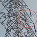 Bị từ chối kết hôn, nam thanh niên trèo lên cột điện đòi tự tử avatar1764923111432 17649231118271254204252 0 44 315 548 crop 1764923123251420565436jpg