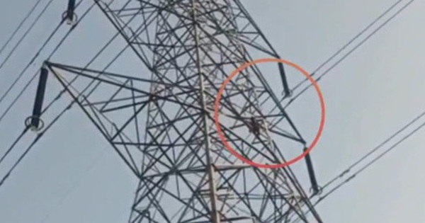 Bị từ chối kết hôn, nam thanh niên trèo lên cột điện đòi tự tử avatar1764923111432 17649231118271254204252 0 44 315 548 crop 1764923123251420565436jpg