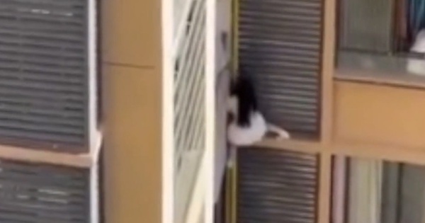 Người phụ nữ trèo ra khỏi cửa sổ căn hộ chung cư khiến hàng xóm sốc nặng avatar1764923254281 1764923254844469995824jpg