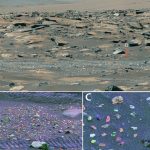 Một vùng đất ngoài hành tinh từng giống Đông Nam Á về khí hậu avatar1764997003883 17649970049621961996509jpg