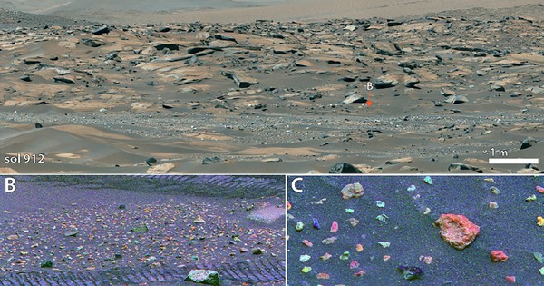 Một vùng đất ngoài hành tinh từng giống Đông Nam Á về khí hậu avatar1764997003883 17649970049621961996509jpg