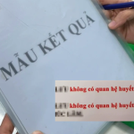 Ông chồng sốc ngất khi phát hiện cả 3 con đều không phải con ruột avatar1765084995332 17650849958271049423963png