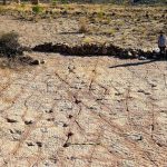 Gần 18.000 dấu chân quái vật "xới nát" công viên quốc gia avatar1765096328287 1765096328631752876468 0 38 315 542 crop 17650963474891515603298jpg