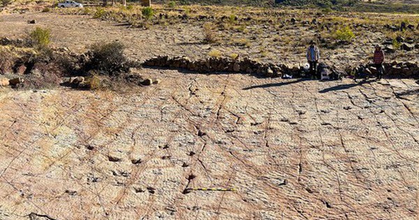 Gần 18.000 dấu chân quái vật "xới nát" công viên quốc gia avatar1765096328287 1765096328631752876468 0 38 315 542 crop 17650963474891515603298jpg