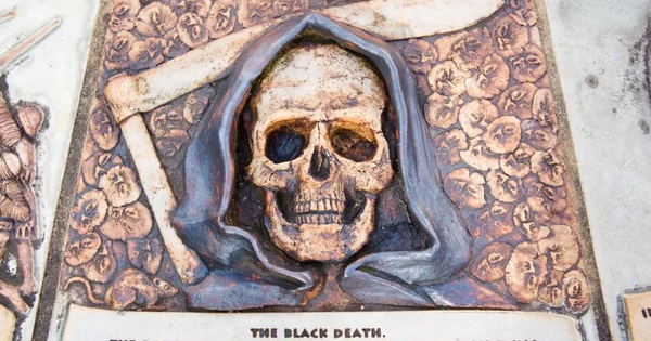 Núi lửa đã thổi bùng một trong các đại dịch khủng khiếp nhất lịch sử avatar1765255660004 17652556604481264920224jpg