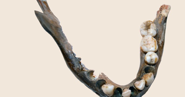 1.400 năm trước vẫn có một nhóm người mang DNA khác hầu hết người hiện đại avatar1765272437284 1765272437726729477162jpg