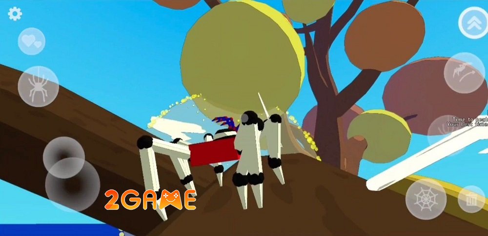 A Webbing Journey – Thế giới qua đôi mắt của chú nhện nhỏ bé awebbingjourney 3