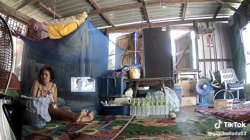 Đang ngồi trong nhà, người phụ nữ hoảng sợ khi 1 con vật to lớn xuất hiện, chuyên gia cảnh báo nguy hiểm- Ảnh 2. Đang ngồi trong nhà, người phụ nữ hoảng sợ khi 1 con vật to lớn xuất hiện, chuyên gia cảnh báo nguy hiểm- Ảnh 2.