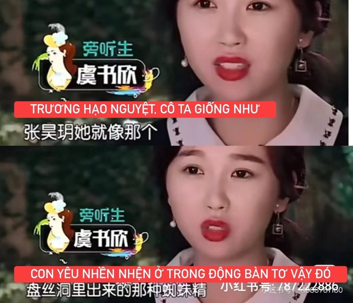 Triệu Lộ Tư là báo ứng của Ngu Thư Hân!- Ảnh 3.