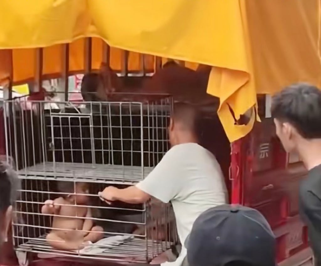 Sốc trước cảnh ông bố nhốt con trai nhỏ trong lồng sắt giữa phố- Ảnh 1. Sốc trước cảnh ông bố nhốt con trai nhỏ trong lồng sắt giữa phố- Ảnh 1.