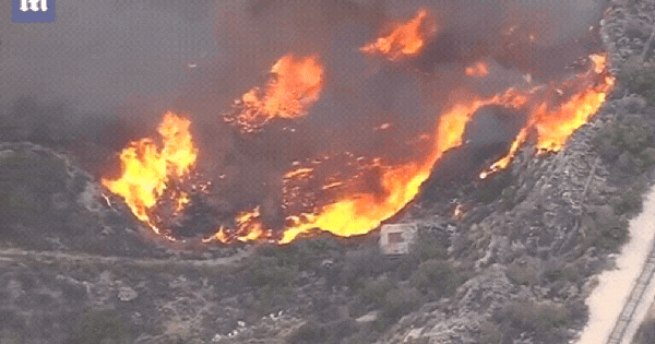 Đám cháy mới kinh hoàng bùng phát ở Los Angeles: Chuyên gia cảnh báo có thể trở thành “thảm họa hạt nhân” ban sao cua ban sao cua gia toc giau nhat the gioi 10 173760594004828531190gifpng