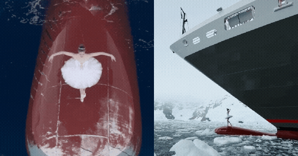 Video đẹp vô thực đến mức hàng triệu người nhất quyết không tin không phải do AI tạo ra 27 Video đẹp vô thực đến mức hàng triệu người nhất quyết không tin không phải do AI tạo ra ban sao cua ban sao cua gia toc giau nhat the gioi 16 17387418313881899167681gifpng