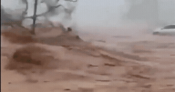 Siêu bão Melissa mạnh nhất 2025 “xé toạc” mọi thứ: Video cận cảnh cho thấy sự tàn khốc ban sao cua ban sao cua gia toc giau nhat the gioi 18 17617245718541512258322gifpng