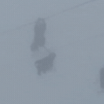 Cáp treo khu du lịch bị đứt giữa không trung, cabin rơi xuống vách đá: Nhiều người thương vong ban sao cua ban sao cua gia toc giau nhat the gioi 3 17581020600152028463774gifpng