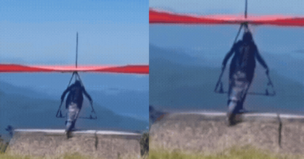 Video: Khoảnh khắc kinh hoàng khi người đàn ông nhảy dù lượn rơi từ độ cao 200m xuống đất tử vong tại chỗ ban sao cua ban sao cua gia toc giau nhat the gioi 36 17413209192331807684157gifpng