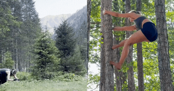 Xu hướng tập thể dục mới chạy nhảy bằng 4 chi như động vật để có cơ bụng 6 múi: Nhiều điều khó giải thích ban sao cua ban sao cua gia toc giau nhat the gioi 6 17588612021621966732238gifpng