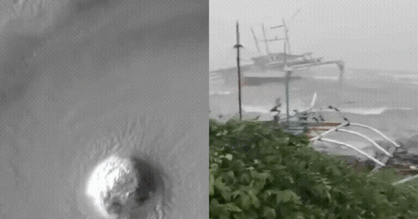 Cận cảnh video bão Ragasa quần thảo Philippines, Trung Quốc: Siêu bão lớn nhất thế giới 2025 càn quét tàn khốc như thế này ban sao cua gia toc giau nhat the gioi 29 1758559484584592153914gifpng