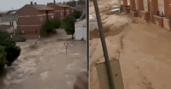 Ngập lụt kinh hoàng do bão Gabrielle: Mọi con đường biến thành sông, "ô tô bơi" khắp nơi, cả thành phố giờ đã tê liệt ban sao cua gia toc giau nhat the gioi 31 1759223716244332077115 1759226444733 17592264451931614318700 0 0 477 764 crop 1759226538729426965215gifpng