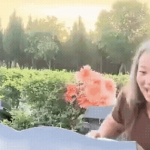 Đoạn video 12 giây làm tan nát trái tim mọi người mẹ ban sao cua gia toc giau nhat the gioi 35 17625033216221897039588gifpng