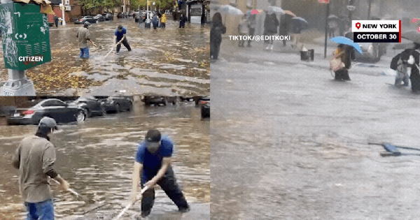 Sốc trước hình ảnh New York ngập lụt kinh hoàng, đã có người tử vong ban sao cua gia toc giau nhat the gioi 4 1761895741355893658078gifpng