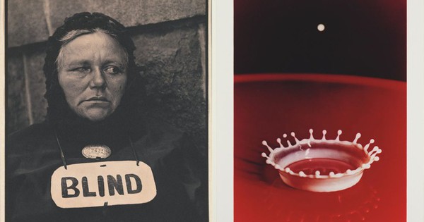 10 bức ảnh mang tính bước ngoặt trong lịch sử nhân loại ban sao cua gia toc giau nhat the gioi 7 17547373929161903927568 1754752841106 1754752841495753375078 0 0 477 764 crop 1754752861004337126556jpg