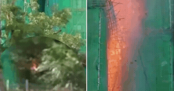 Video cho thấy toàn bộ tòa nhà Hong Kong (Trung Quốc) chìm trong biển lửa chỉ trong vòng 10 phút: Quá nhanh, quá kinh hoàng ban sao cua gia toc giau nhat the gioi 8 1764238543408495276801gifpng