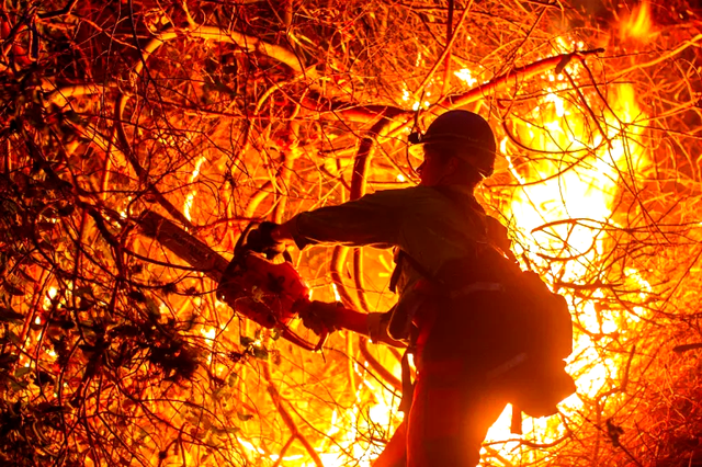 "Hỏa ngục đốt 150 tỷ USD" tại Mỹ đang giải phóng thứ siêu độc: Nhiễm vào máu có thể gây chết người base64 17368266963991668646121 1736840608835 1736840609370248641160