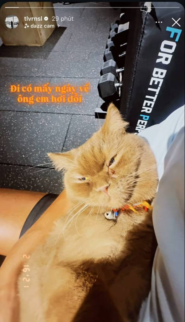 Touliver để lộ chi tiết chứng minh Tóc Tiên không còn sống chung?- Ảnh 1.