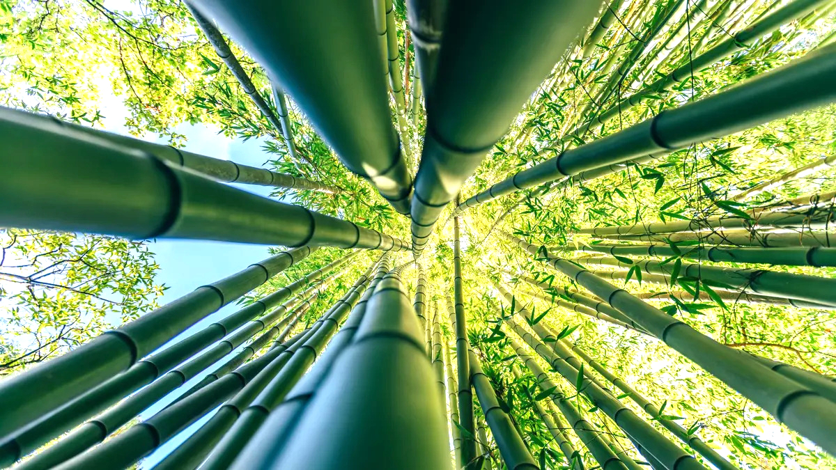 Phát minh Phát minh