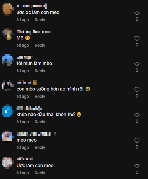 photo-1761031486444 photo-1761031486444