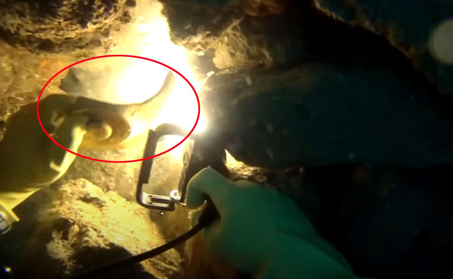 Xác con tàu đắm vừa nổi lên mặt nước sau gần 140 năm, giải mã 1 trong những bí ẩn dai dẳng đau thương nhất nước Anh- Ảnh 5.