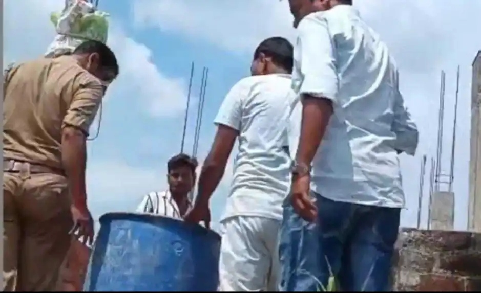 Bé trai 2 tháng tuổi tử vong sau khi bị đàn khỉ bắt cóc- Ảnh 1.