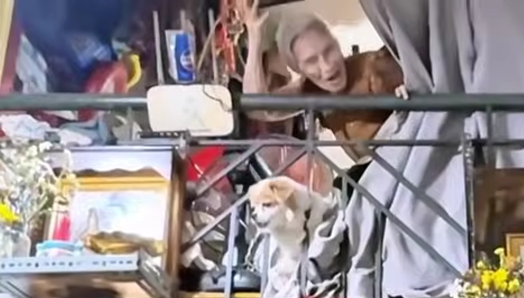 Đàn em tìm tới tận nhà một nữ nghệ sĩ 78 tuổi vì sợ chuyện chẳng lành xảy đến- Ảnh 1.