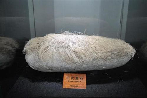 Lão nông phát hiện “tảng đá mọc tóc trắng”, chuyên gia lập tức phong tỏa cả ngôi làng: Loài vật quý hiếm bậc nhất hành tinh xuất hiện- Ảnh 2.