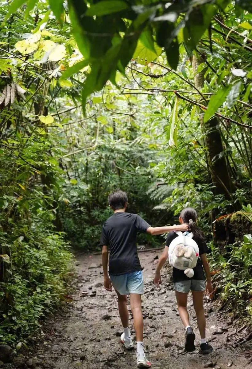 Tôn Lệ cùng chồng con trekking xuyên rừng: Hình ảnh giản dị mà ấm áp gây sốt mạng xã hội- Ảnh 3.