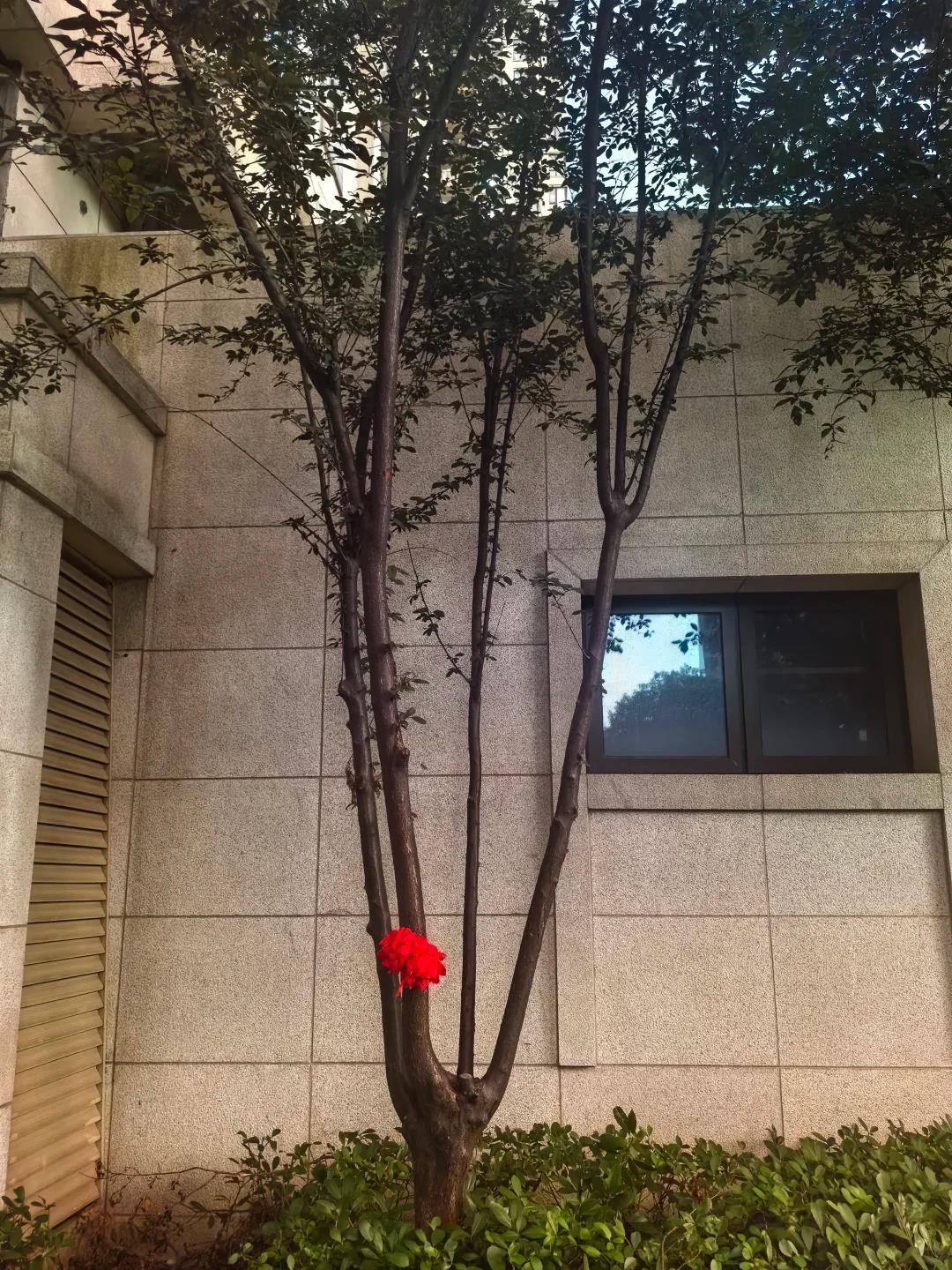 Bé trai 3 tuổi may mắn sống sót sau cú ngã từ tầng 18 chung cư- Ảnh 2.