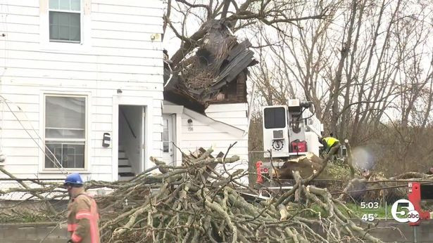 Bị cành cây rơi trúng người, bé gái 7 tuổi tử vong- Ảnh 2.