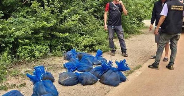 Bí mật "động trời" bên trong hàng chục chiếc túi lạ treo trong rừng bi mat dong troi ben trong hang chuc chiec tui la treo trong rung1 17489207800421782502540 0 48 321 562 crop 17489208035191884250429 17490072985961926383382jpg