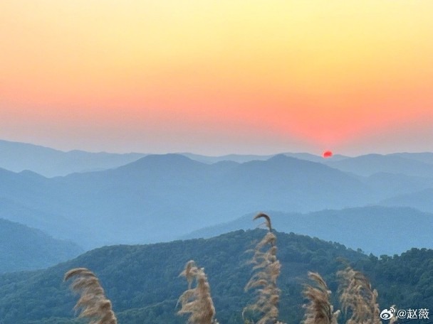 Triệu Vy nghi bất ngờ