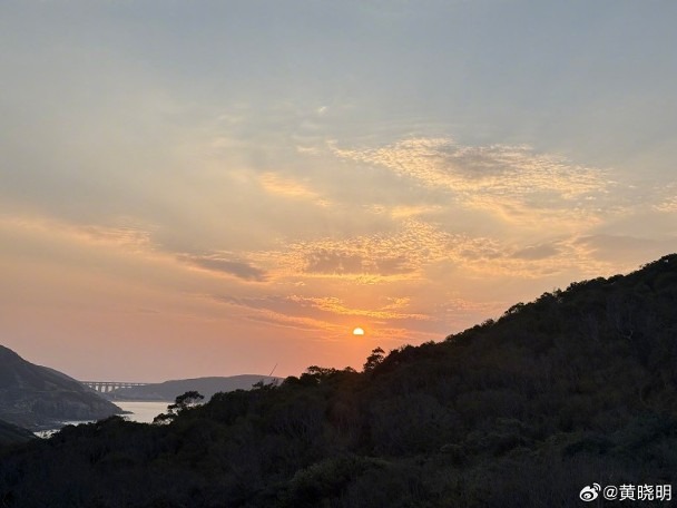 Triệu Vy nghi bất ngờ