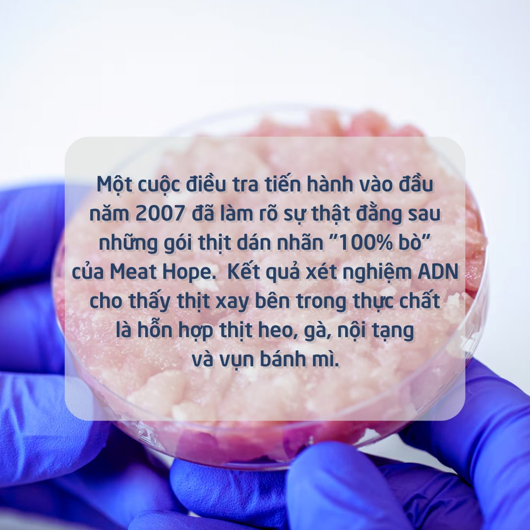 Cái kết buồn của người phanh phui bê bối thịt Cái kết buồn của người phanh phui bê bối thịt