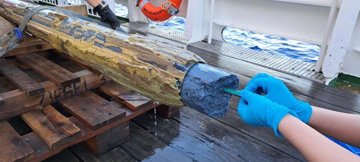 Phát hiện sự sống kỳ lạ ở